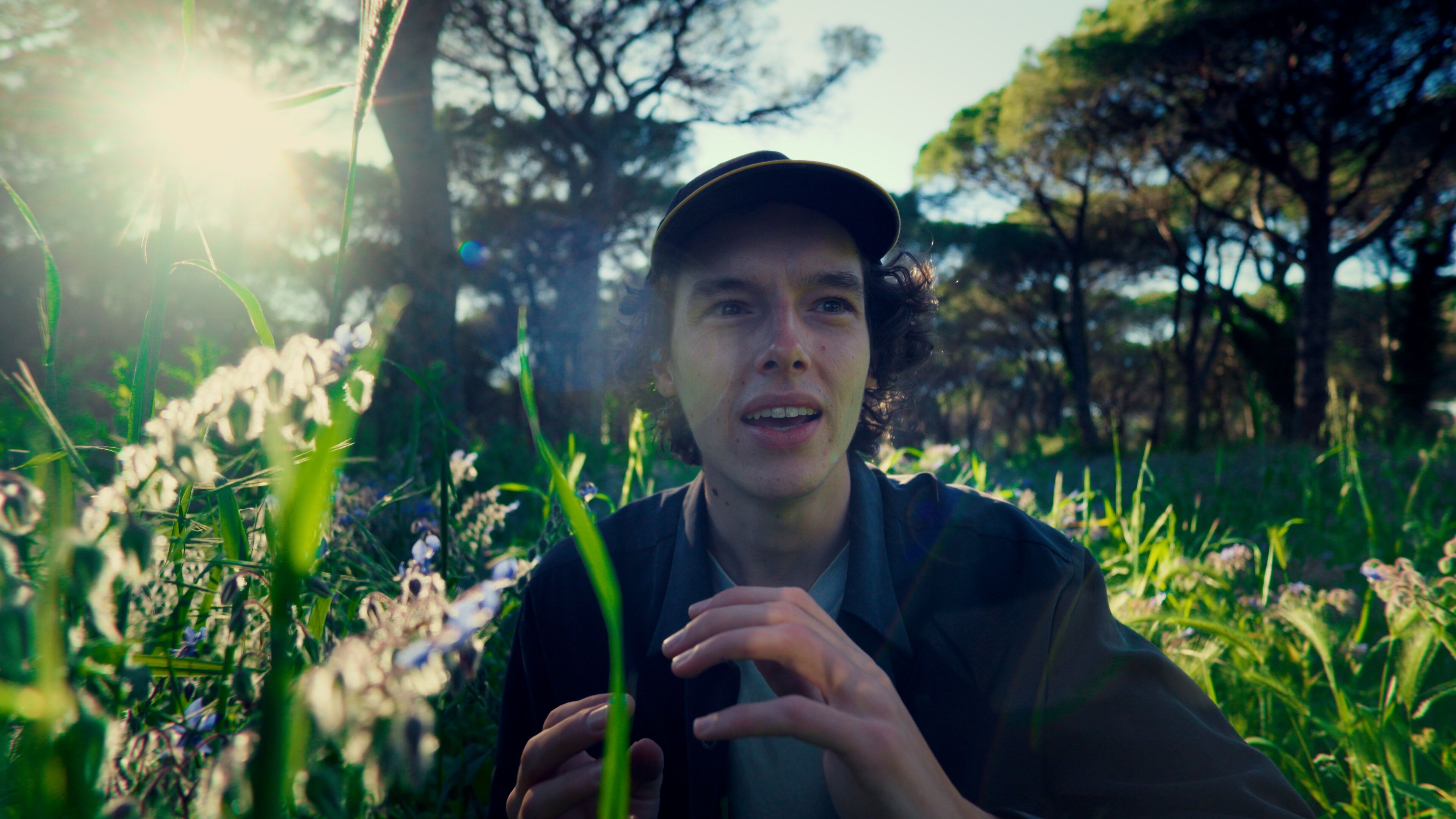 Footage with My Color Grade applied in comparison 2