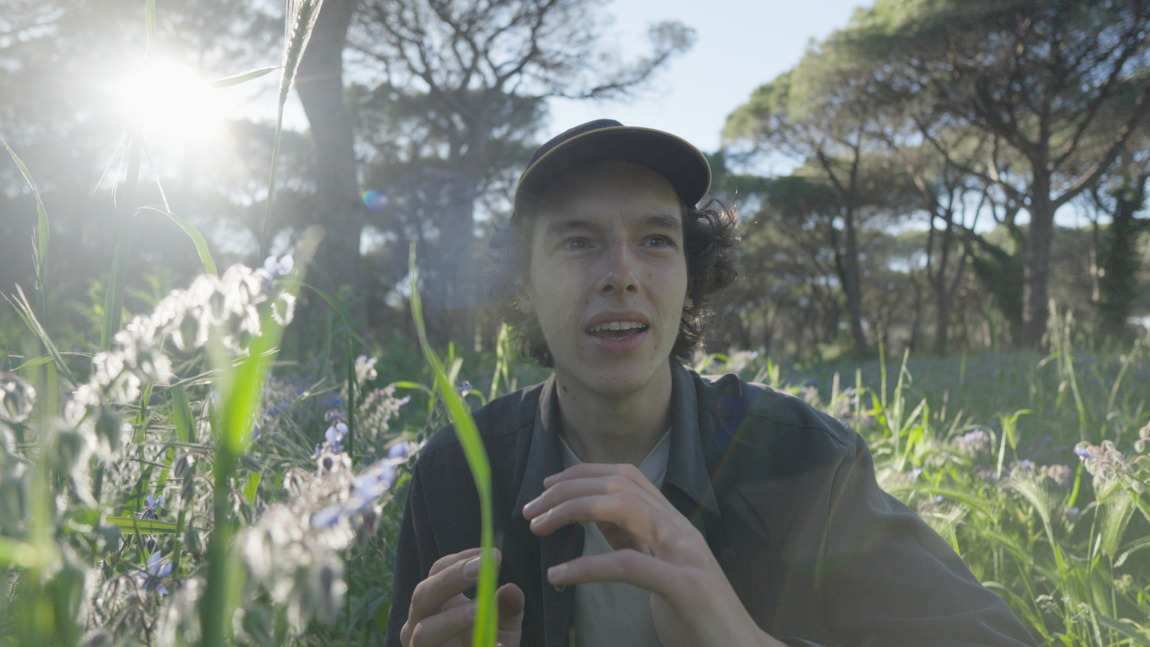 Original footage in color grade comparison 2