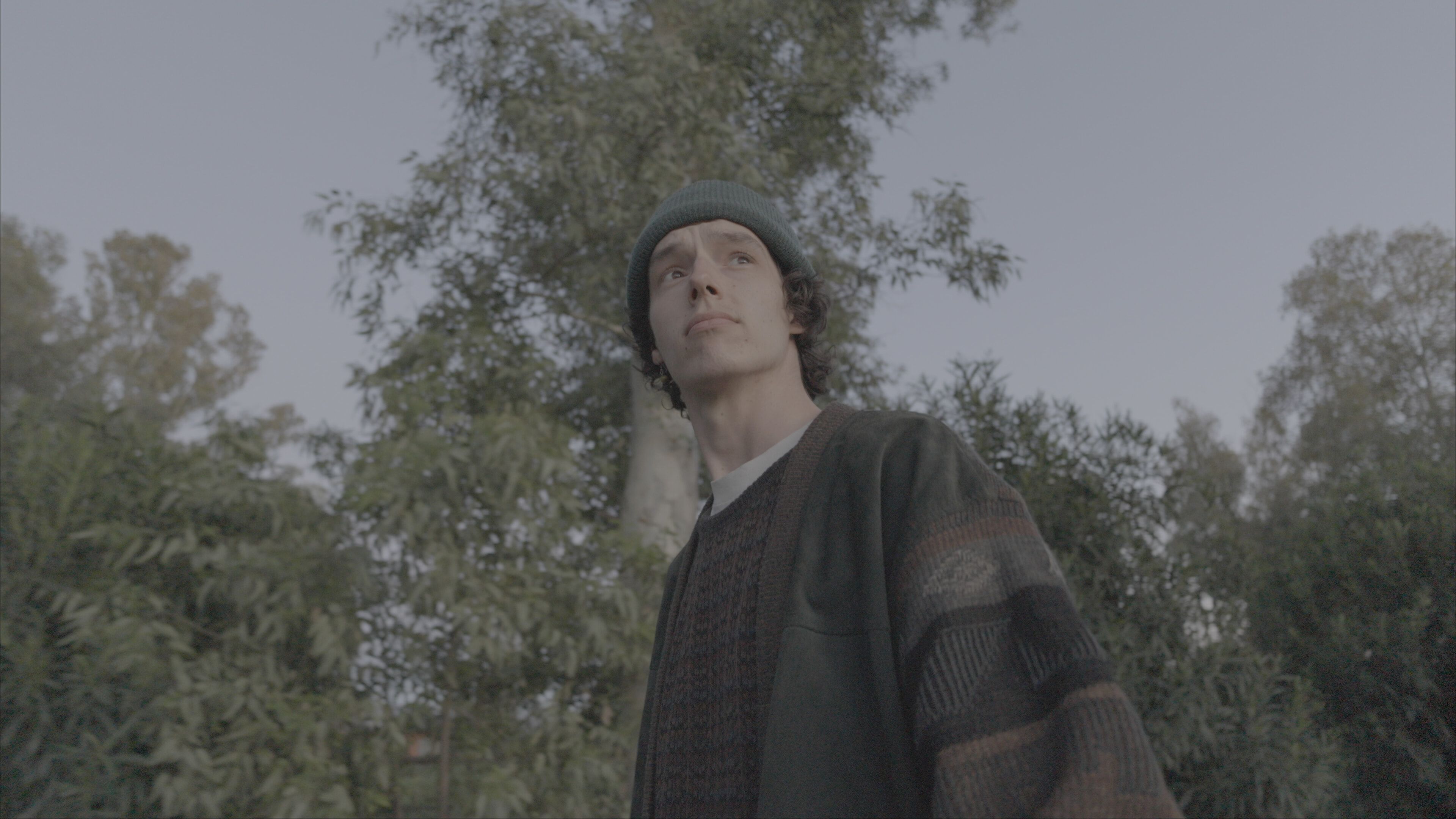 Original footage in color grade comparison 4