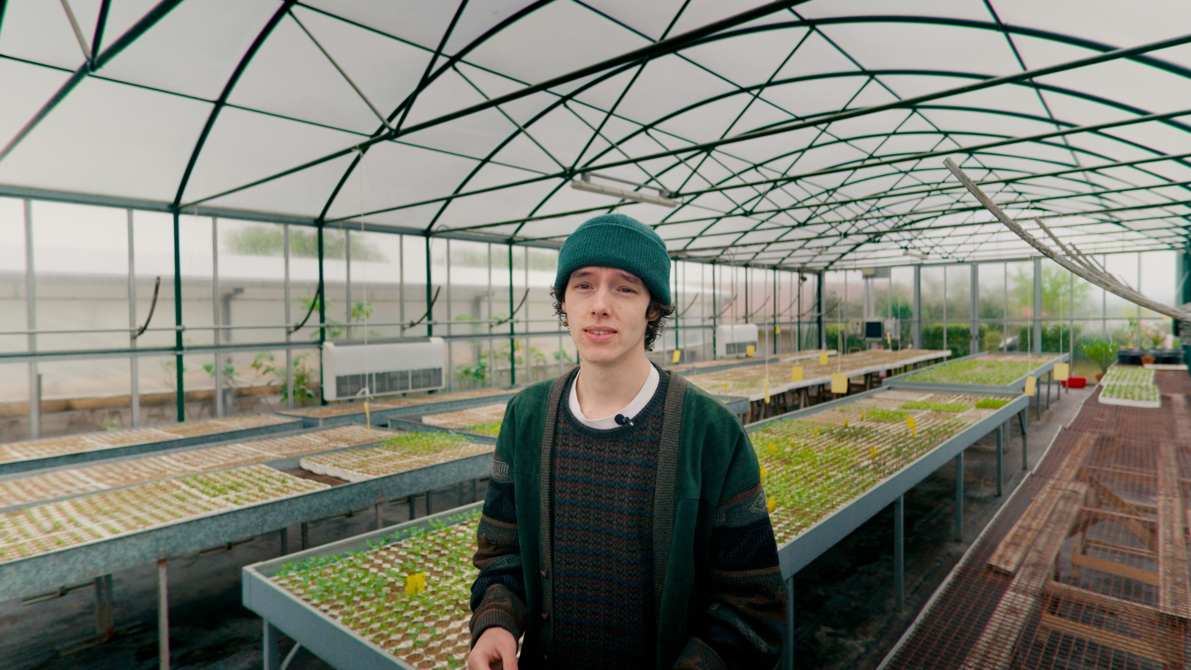 Original footage with My Color Grade look 3 applied