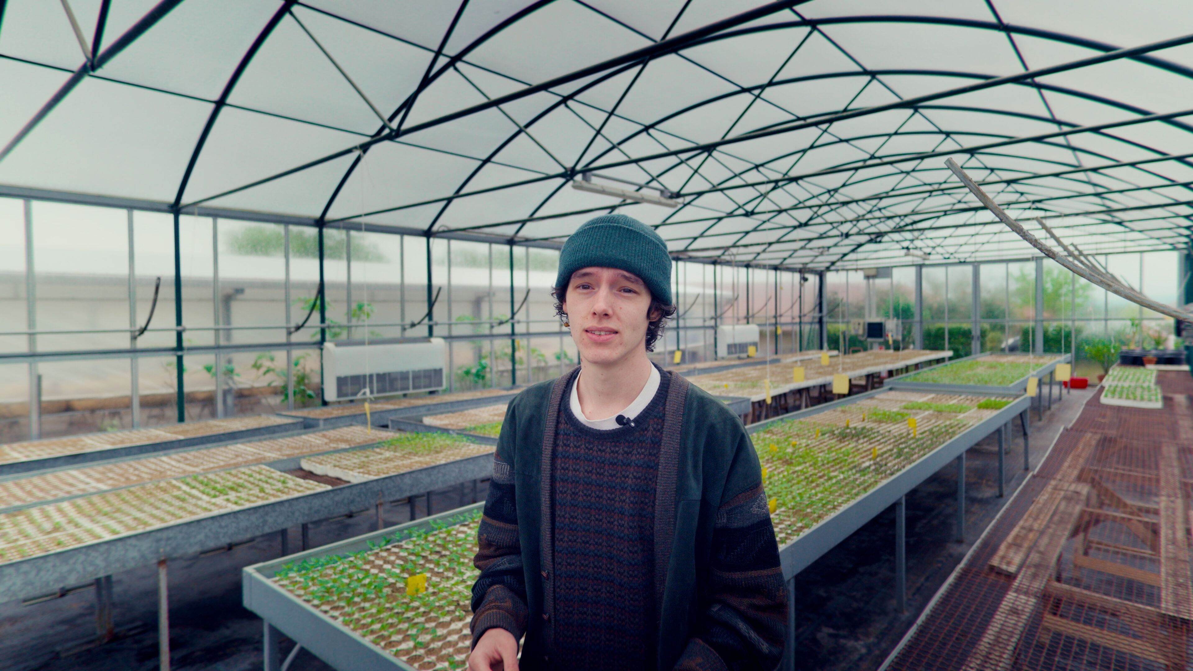 Original footage with My Color Grade look 4 applied